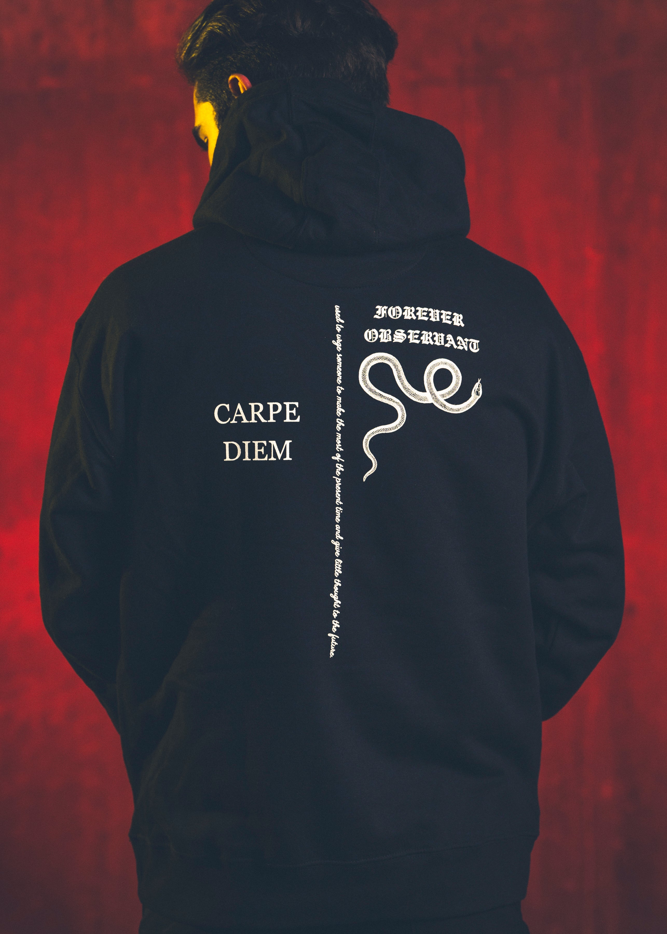 Snake Hoodie